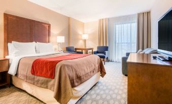 Comfort Inn Fallsview
6645 Fallsview Blvd, Niagara Falls, Ontario, L2G 7G1, Canada