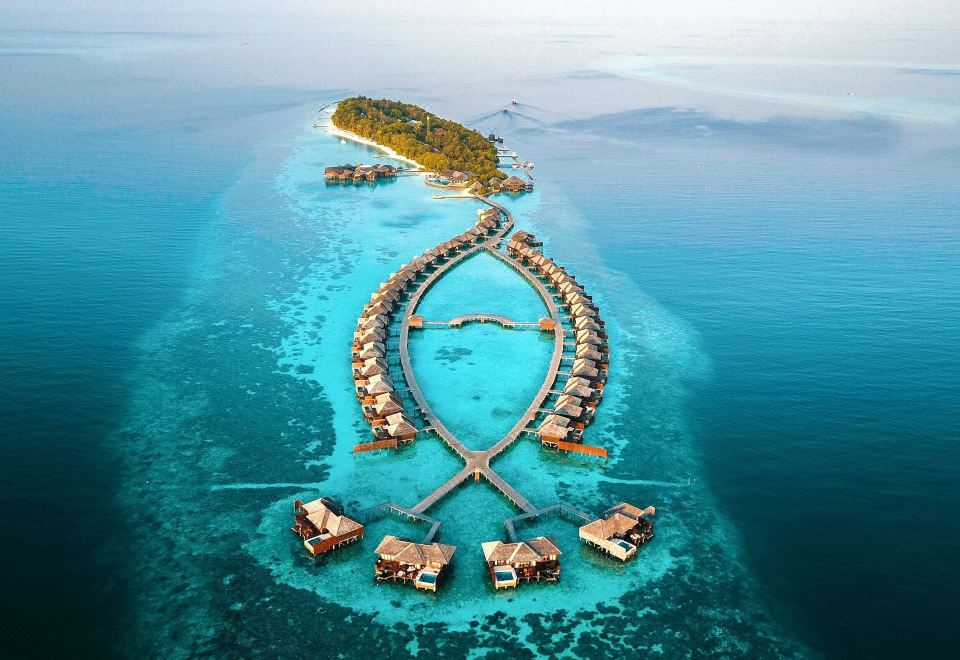 Lily Beach Resort & Spa Maldives 