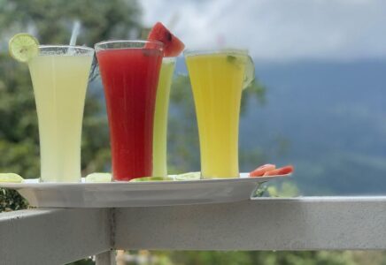 The New Munnar Summer Castle